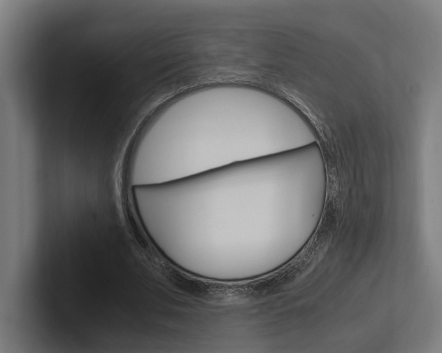 X0000102380679200808010915