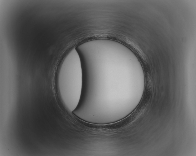 X0000102380681200808010915