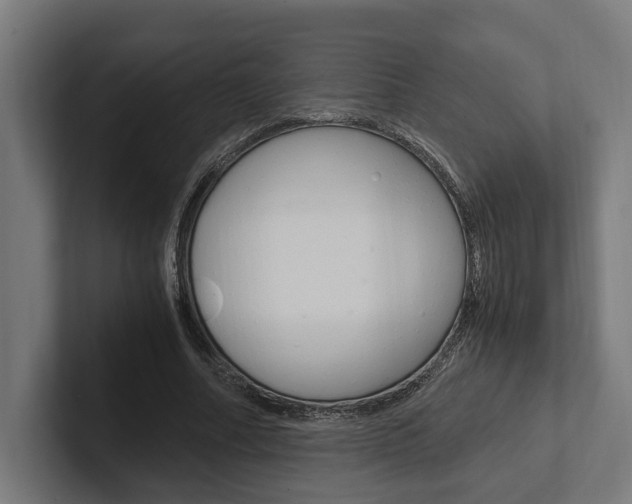 X0000102380682200808010915
