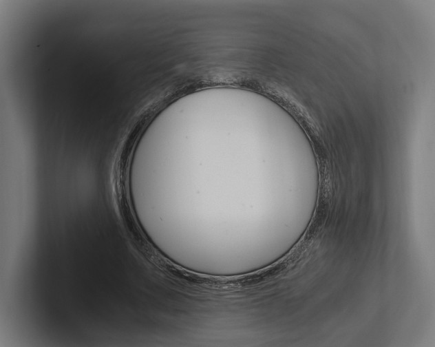 X0000102380683200808010915