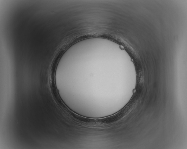 X0000102380685200808010915