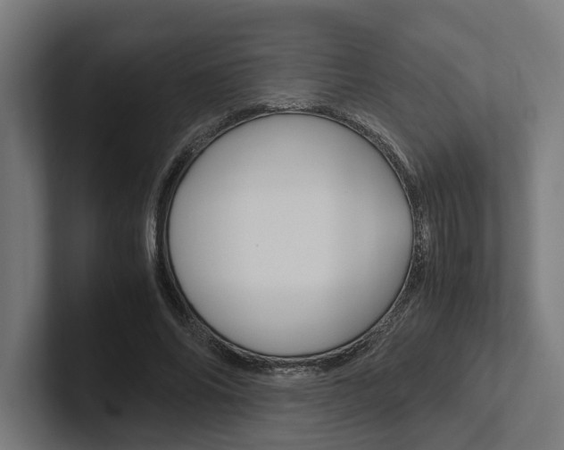 X0000102380686200808010915