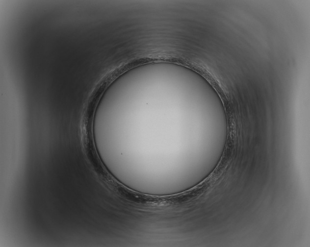 X0000102380688200808010915