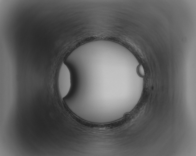 X0000102380689200808010915