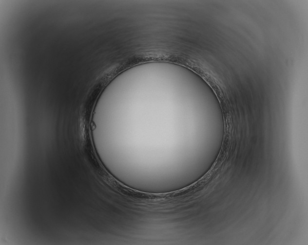 X0000102380692200808010914