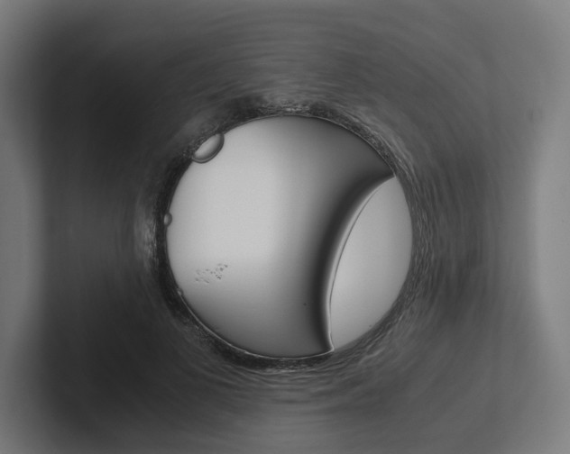 X0000102380693200808010914