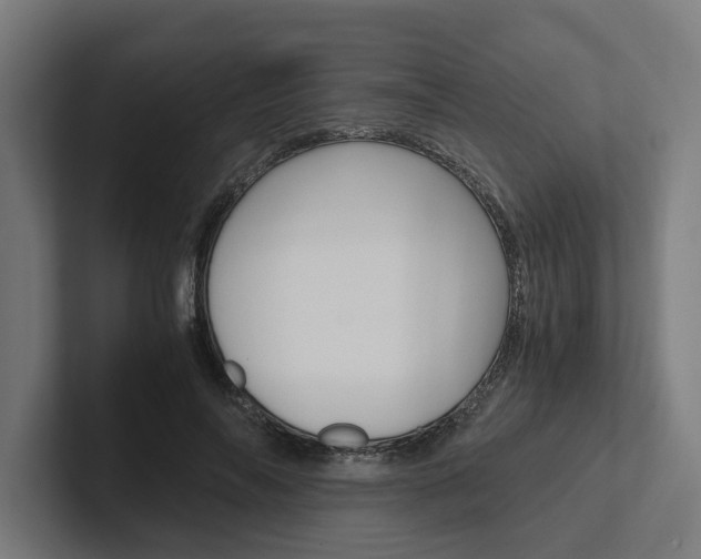X0000102380694200808010914