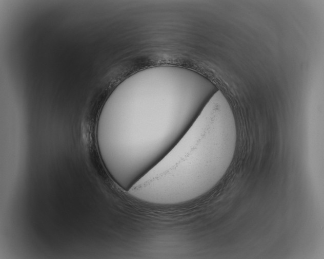 X0000102380695200808010914