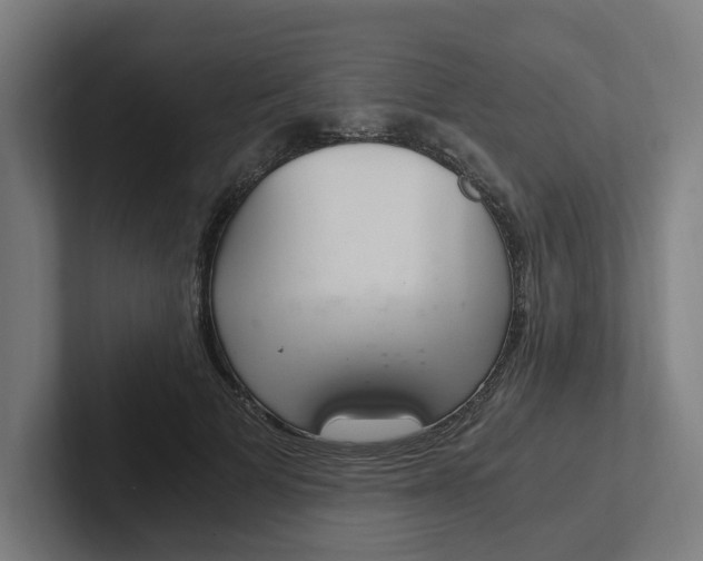 X0000102380697200808010914