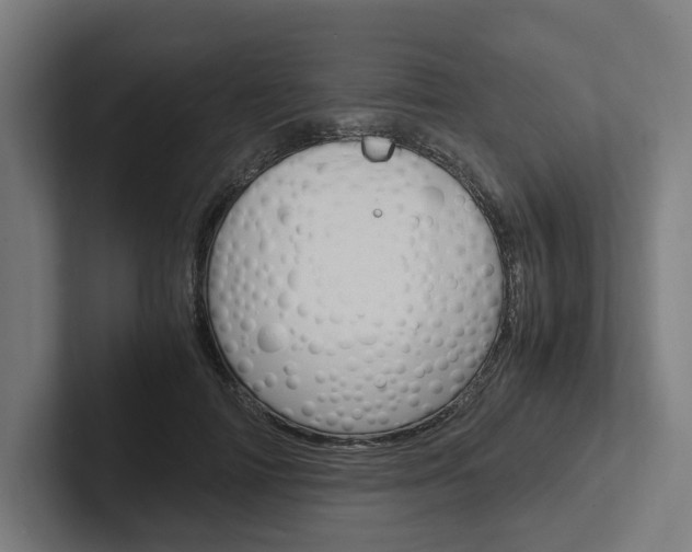 X0000102380698200808010914