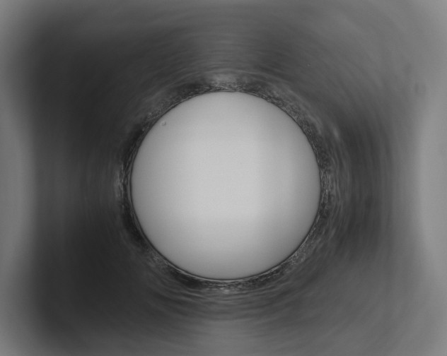 X0000102380702200808010914