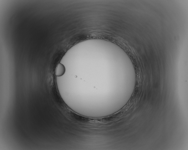 X0000102380703200808010914
