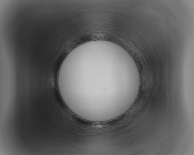 X0000102380706200808010914