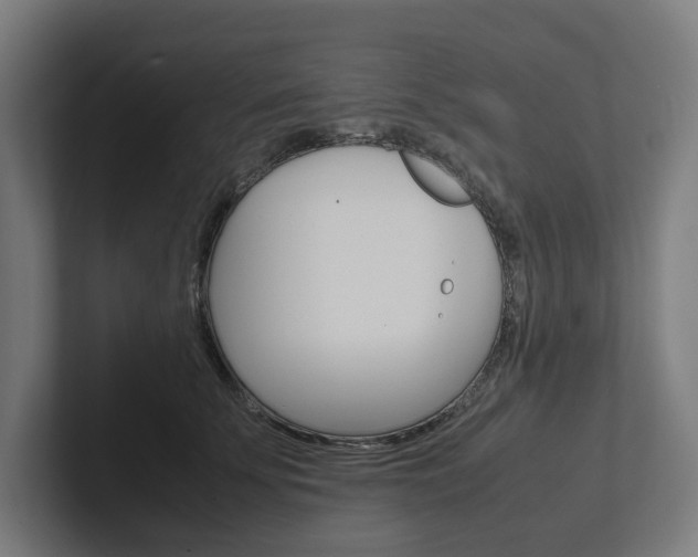 X0000102380707200808010914