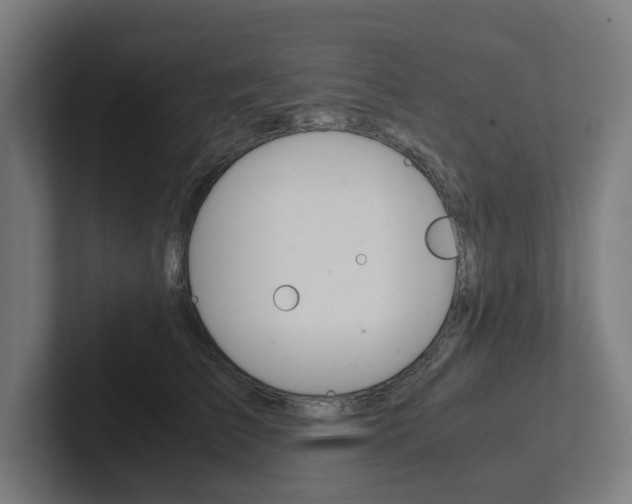 X0000102380709200808010914
