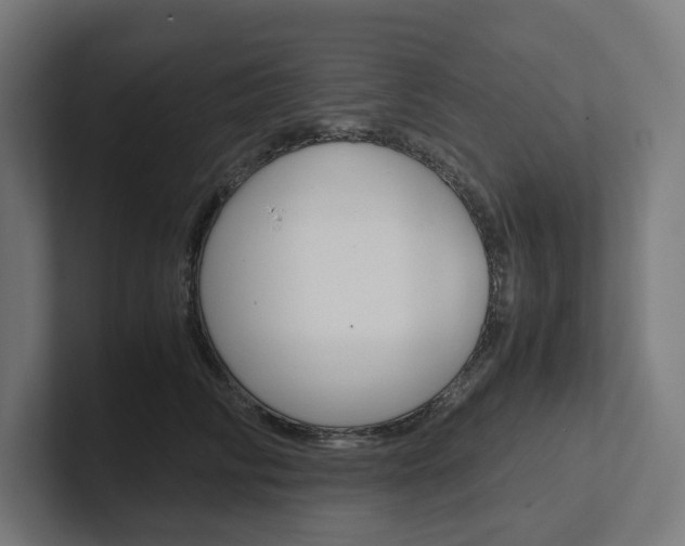 X0000102380710200808010914