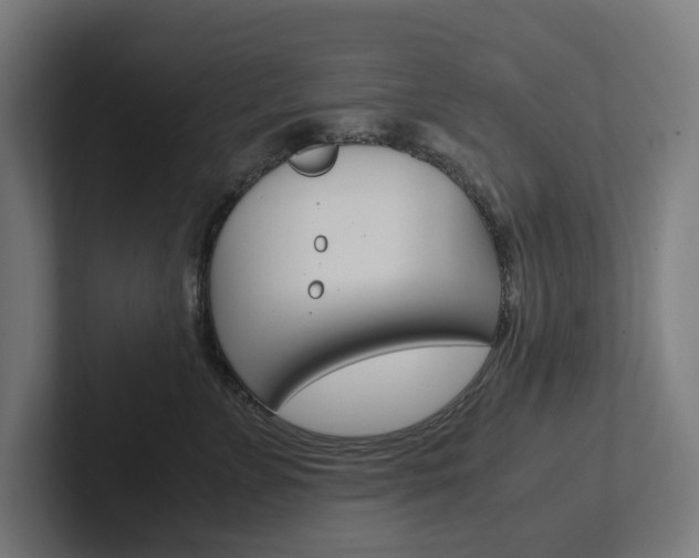 X0000102380715200808010914