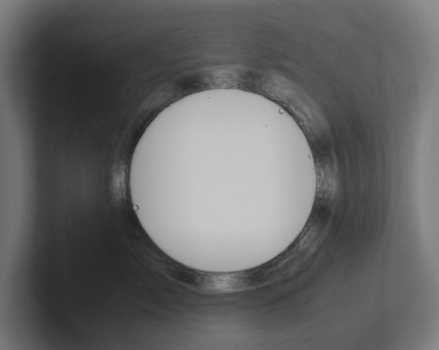 X0000102380717200808010914