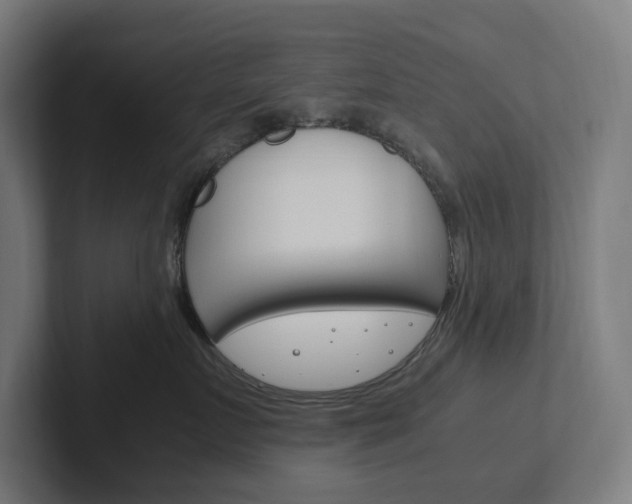 X0000102380719200808010914