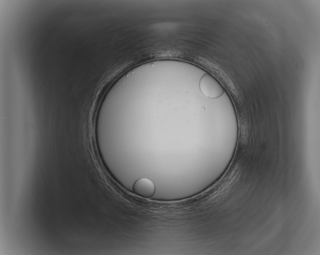 X0000102380721200808010913