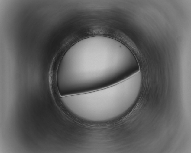 X0000102380722200808010913