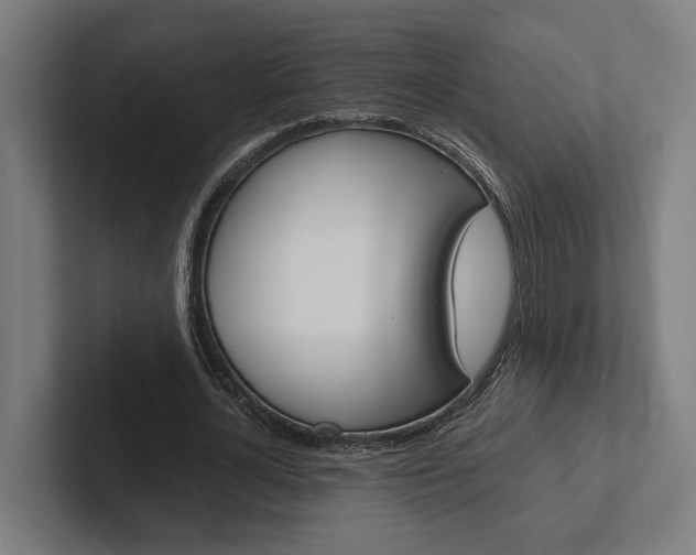 X0000102380724200808010914