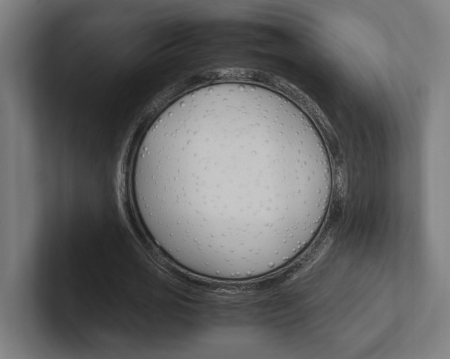X0000102380725200808010914