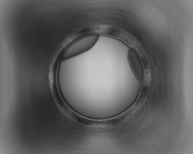 X0000102380726200808010914