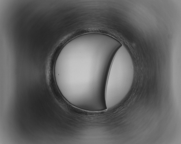 X0000102380728200808010914