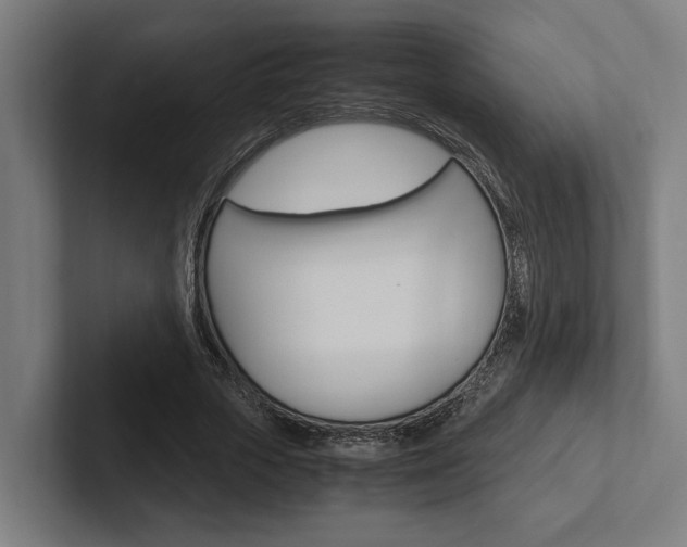 X0000102380729200808010914
