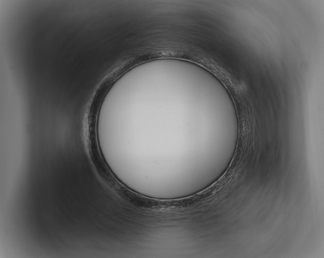 X0000102380730200808010914