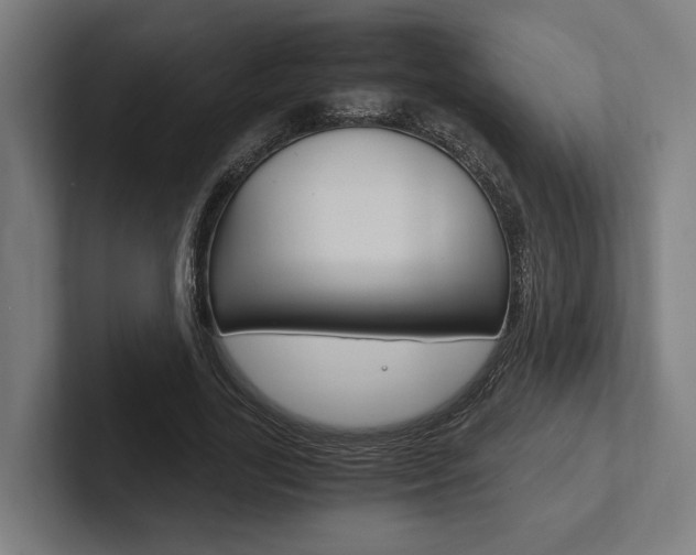 X0000102380731200808010914