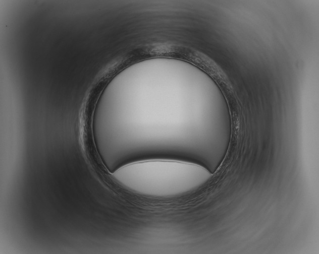 X0000102380732200808010914