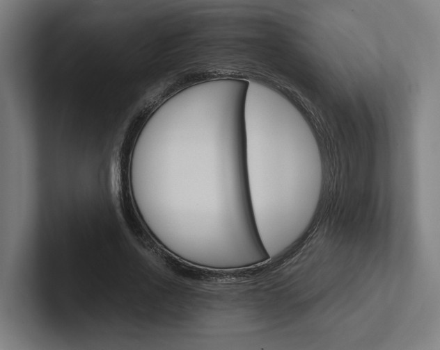 X0000102380734200808010914