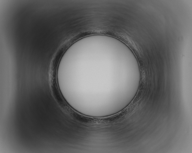 X0000102380736200808010914