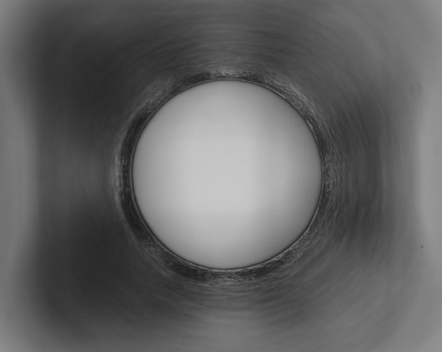 X0000102380738200808010914