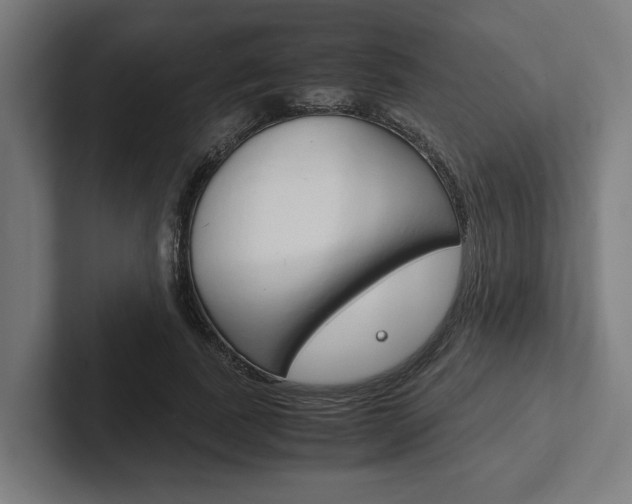 X0000102380739200808010914