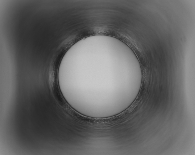 X0000102380740200808010914