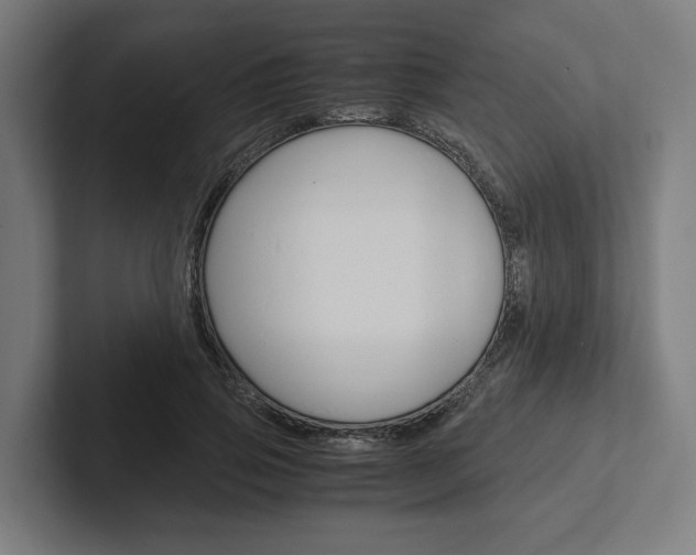 X0000102380741200808010914