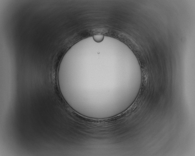 X0000102380745200808010914