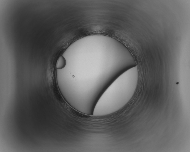 X0000102380746200808010914