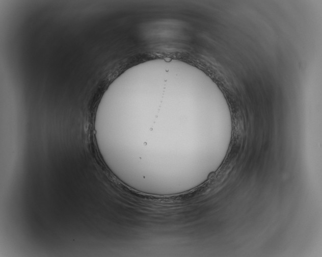 X0000102380749200808010914