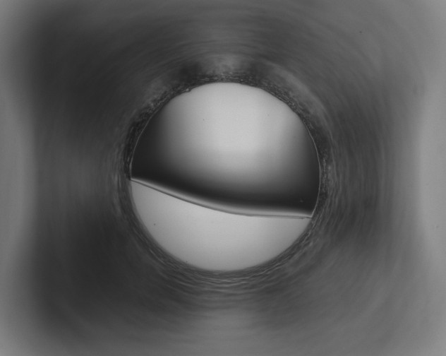 X0000102380750200808010914