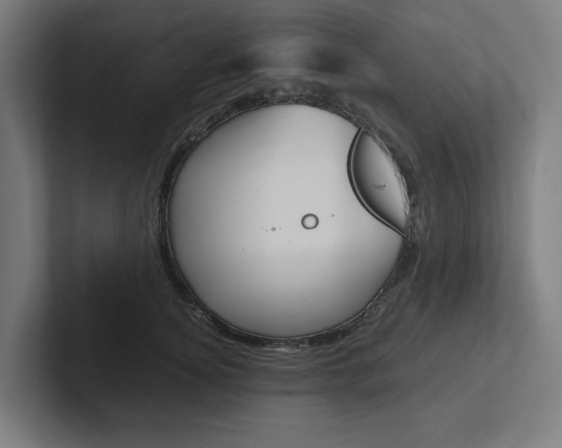 X0000102380756200808010914