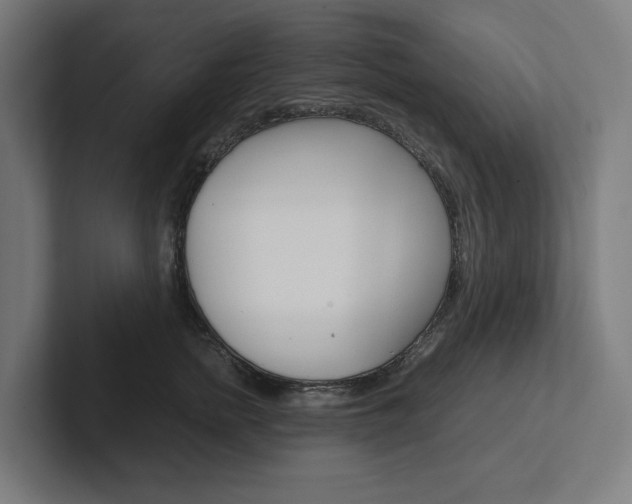X0000102380758200808010914