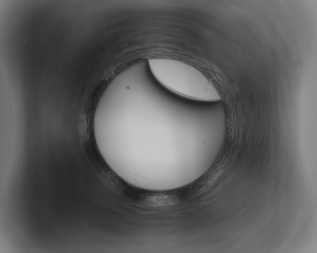 X0000102380759200808010914