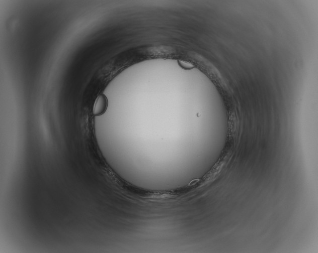 X0000102380762200808010914