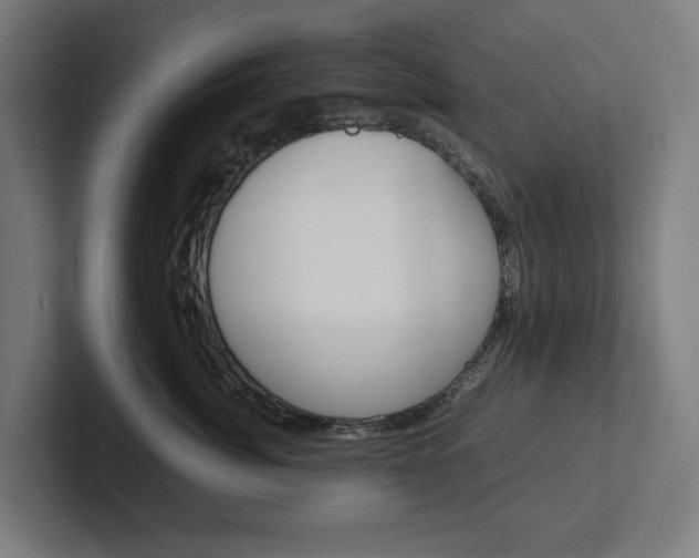X0000102380764200808010914