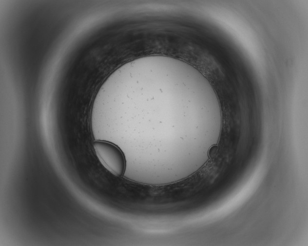 X0000102380766200808010914