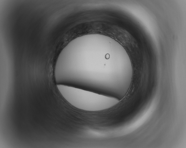 X0000102380767200808010914